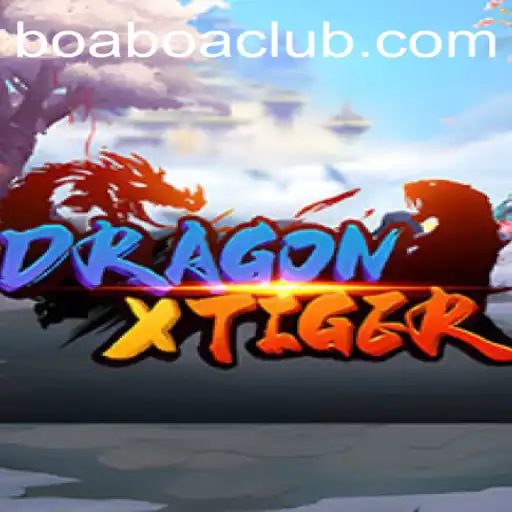 Exploring the Thrilling World of DragonXTiger and the Enigmatic BoaBoa