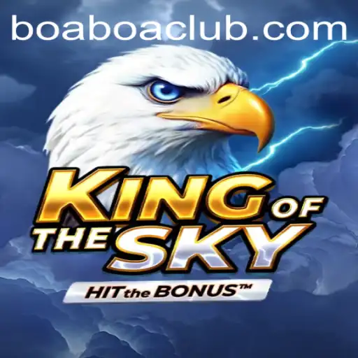 KingOfTheSky: Exploring the World of BoaBoa
